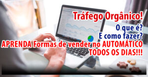 Tráfego Orgânico