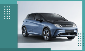 Byd Dolphin
